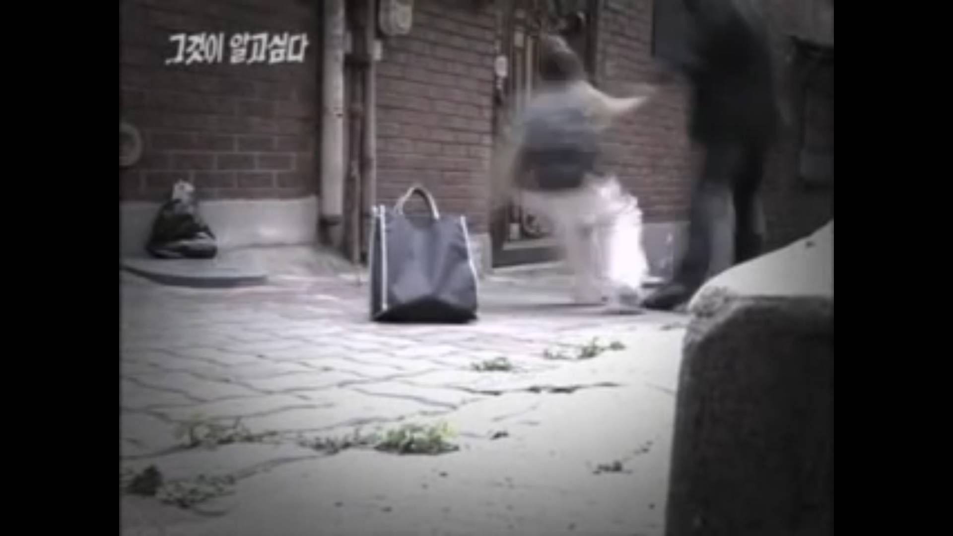 법원 : 가해자도 인권을 존중 받아야 하죠. 그들의 당연한 권리 아닌가요? | 인스티즈