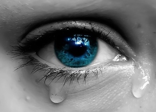 봄이 오면 괴로운 사람들 | 인스티즈