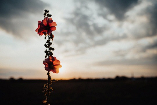  너에게 꼭 묻고 싶다 | 인스티즈