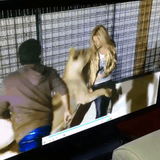 놀아 달라는 냥이 보고 눈물 흘리는 여자.gif | 인스티즈