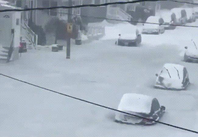 미국 보스턴 상황.GIF | 인스티즈