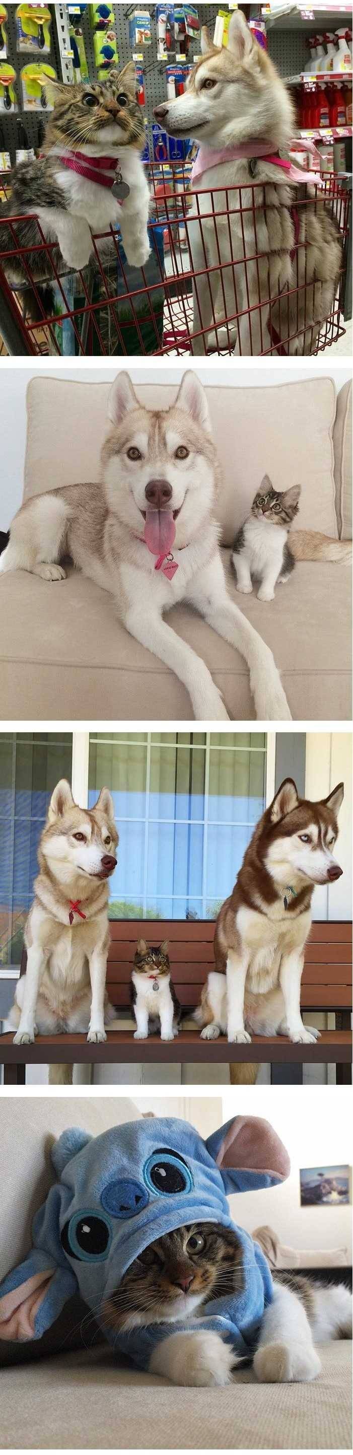 무서운 오빠가 셋이나 있는 집의 막내딸 | 인스티즈