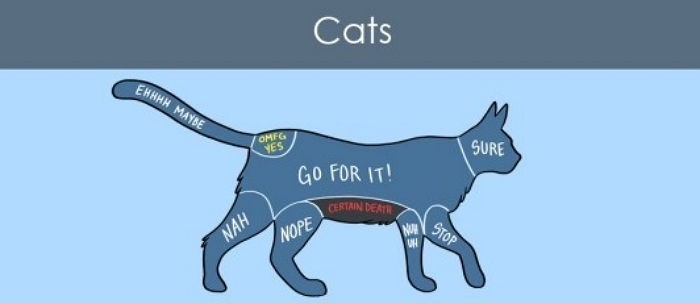 만져주면 좋아하는 부위와 싫어하는 부위 (동물편) | 인스티즈