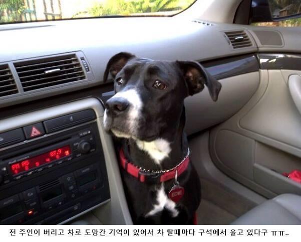 차만타면 우는개 | 인스티즈