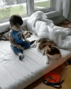 옜다...비벼라... | 인스티즈