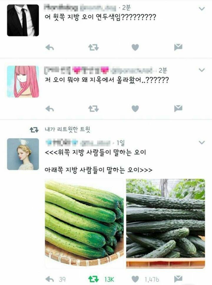 당신이 알고 있는 오이는? | 인스티즈