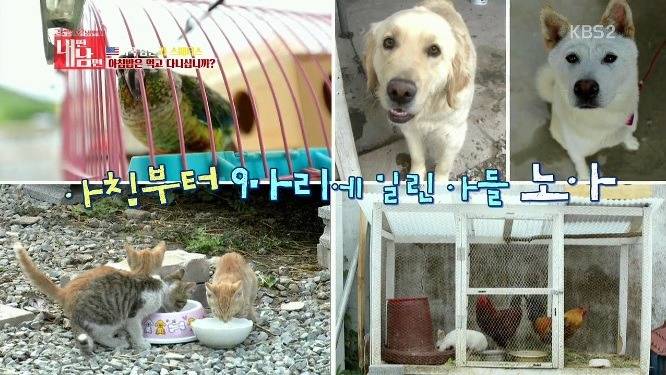 삼겹살은 아침에 먹어야 한다는 미국아재의 신념.jpg | 인스티즈