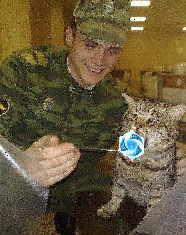 착한 군인 사진.jpg | 인스티즈