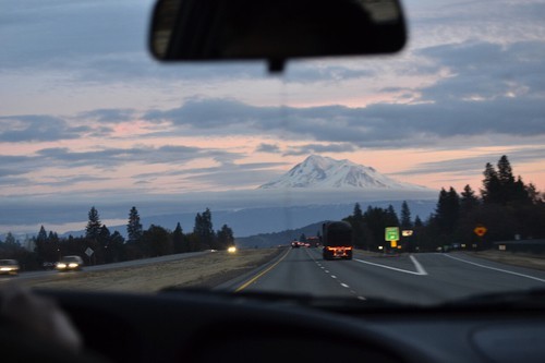  가슴이 있다는 것은 고통스럽다 | 인스티즈