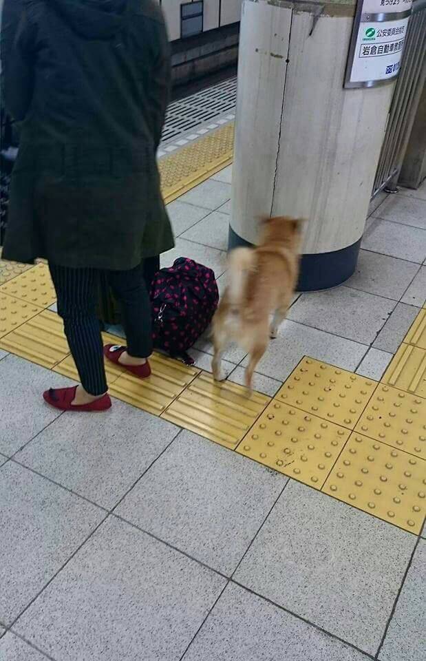 와 시바 무임승차ㄷㄷ | 인스티즈