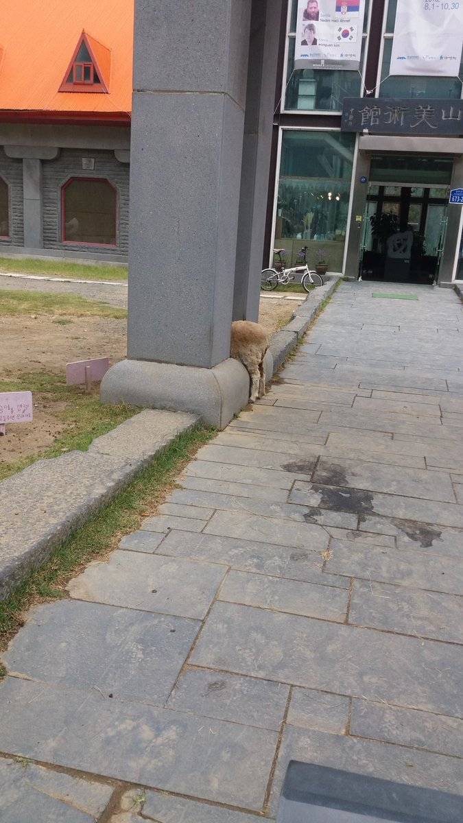 도대체 왜이러는 거지 | 인스티즈