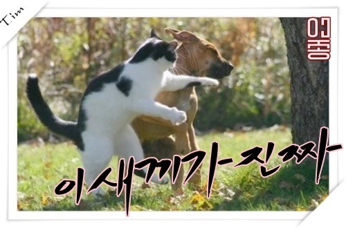 뜻밖의 민폐.gif | 인스티즈