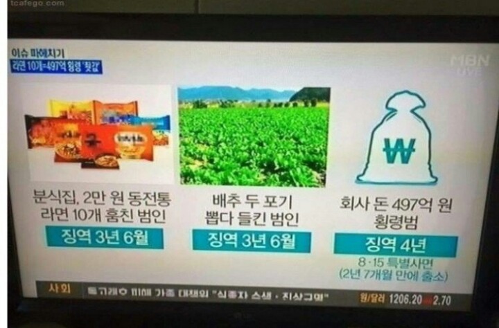 회사 돈 497억 횡령 | 인스티즈