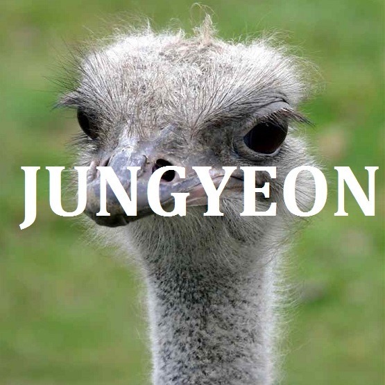 트와이스 지효가 말하는 멤버별 닮은 동물.jpg | 인스티즈