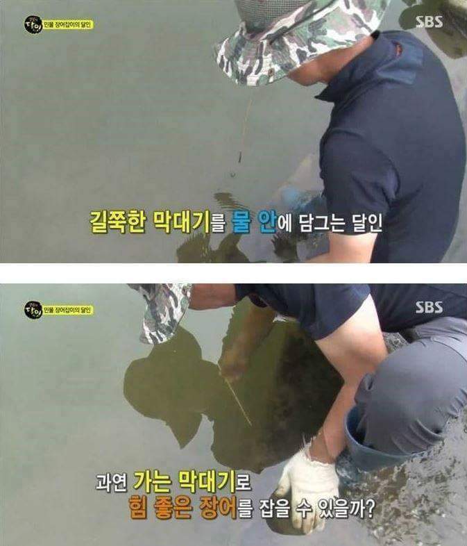 장어의 효과 | 인스티즈