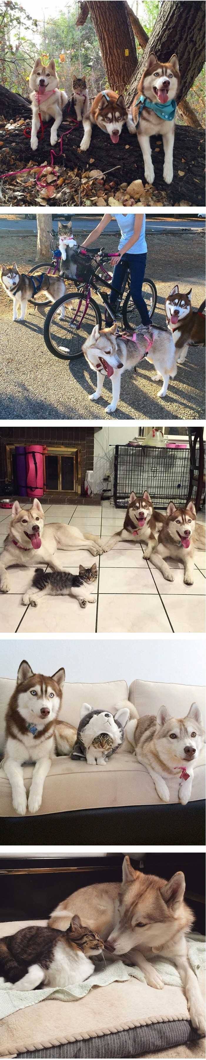 무서운 오빠가 셋이나 있는 집의 막내딸 | 인스티즈