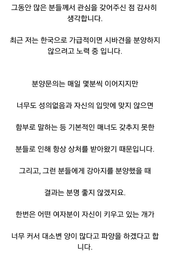 더 이상 한국인에겐 시바견 분양 안하겠다는 일본인 | 인스티즈