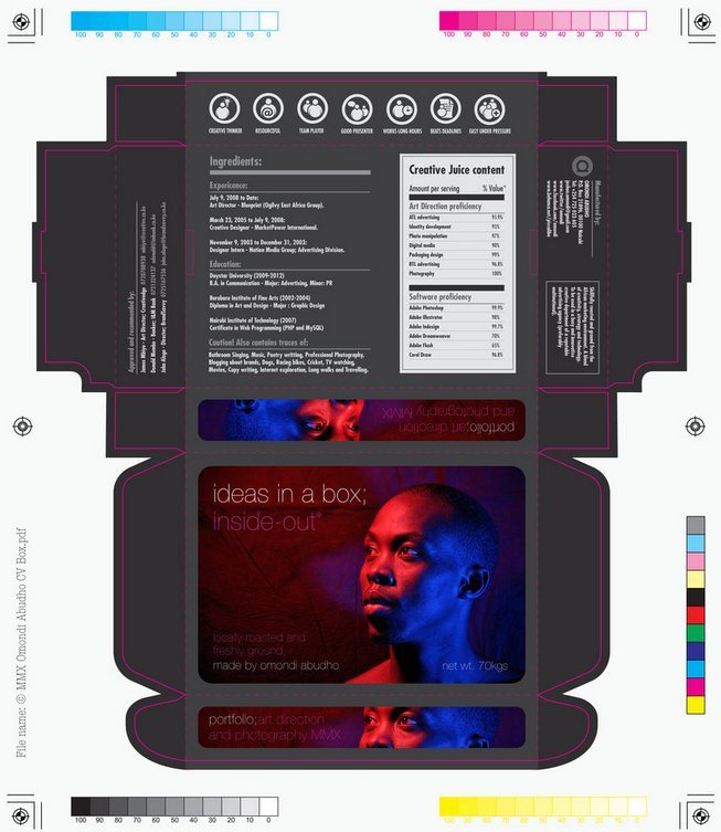 21가지 창의적인 해외 이력서들 | 인스티즈