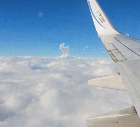 오늘자 승객이 찍은 염소 구름 | 인스티즈