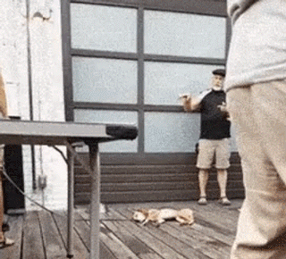 솔로인생~잠이나자야 하는데 ...누가날만지는감~ | 인스티즈