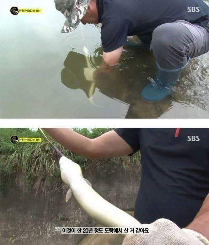 장어의 효과 | 인스티즈