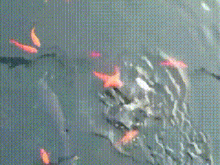 과자를 쟁취하는 것은 누구 | 인스티즈