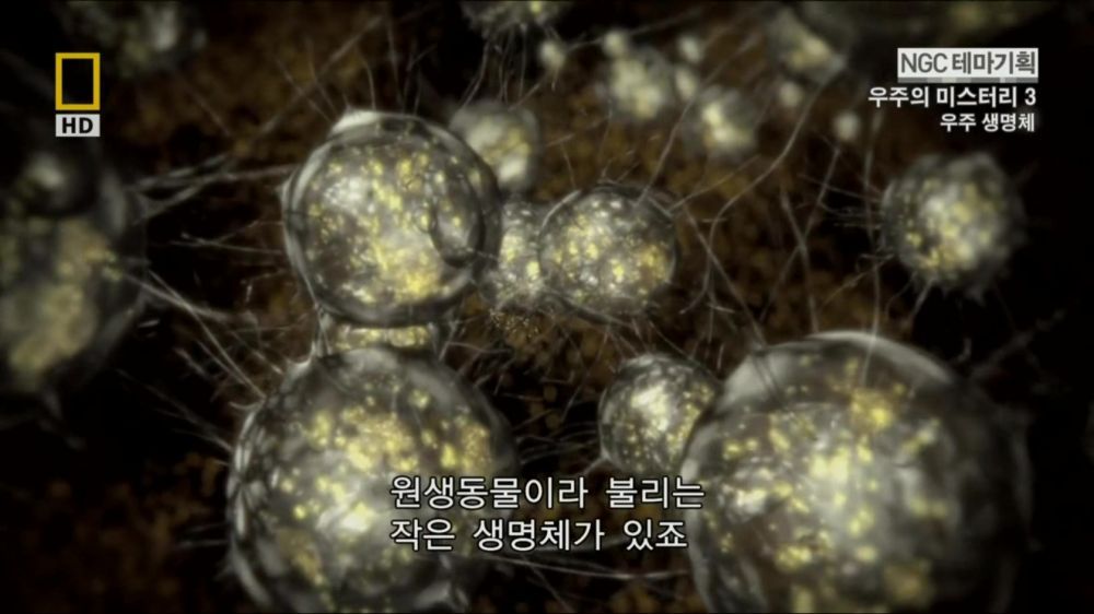 과학자들의 외계 생명체를 찾기위한 노력들.jpg | 인스티즈