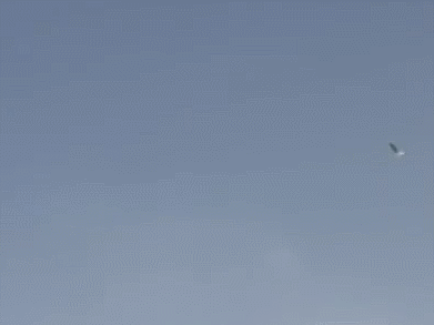 양아치 VS 프로 파이터 | 인스티즈