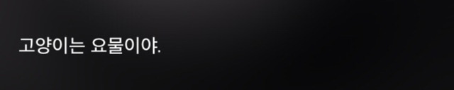 고양이 키우는 사람들이 들으면 상처받는 말들 | 인스티즈