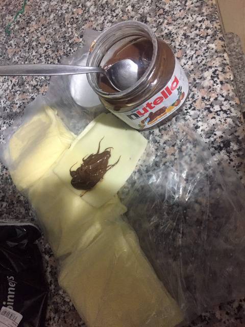 처음 봤을때 착각하는 사진.jpg | 인스티즈