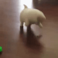 간식이 도망쳐서 삐짐.gif | 인스티즈