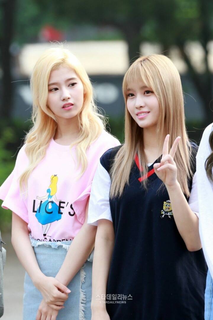 [트와이스] 미사모 출퇴근길 모음 | 인스티즈