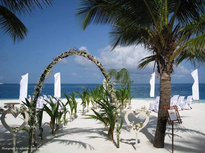 나는 결혼하고 싶다 VS 나는 결혼하고 싶지 않다 | 인스티즈