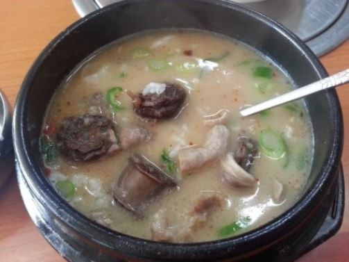 대학생들이 점심시간에 자주먹는 메뉴 | 인스티즈