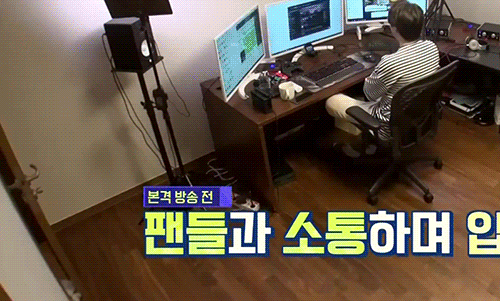 랜선라이프에 잠깐 나온 단추(댕댕이)가 너무 귀여워서 쪄보는 글 | 인스티즈