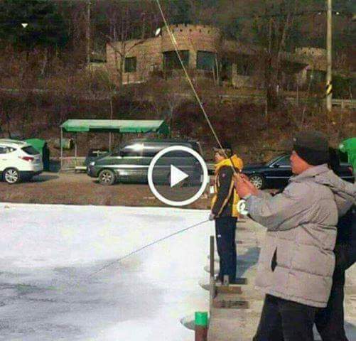 한국에서 잡힌 1m 물고기 (영상o) | 인스티즈