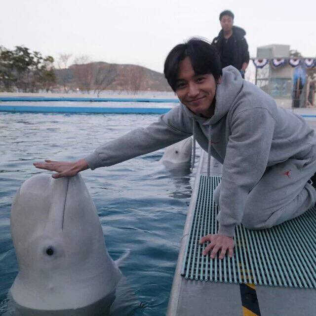 남녀차별하는 돌고래 | 인스티즈