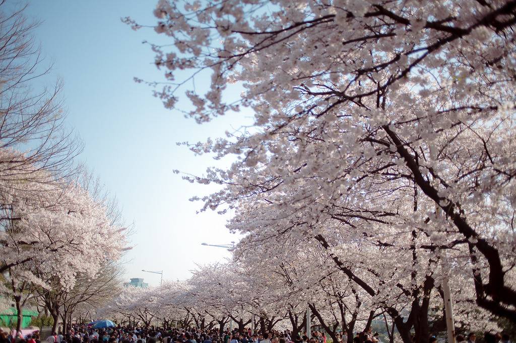 다들 이날은 여자친구랑.. | 인스티즈