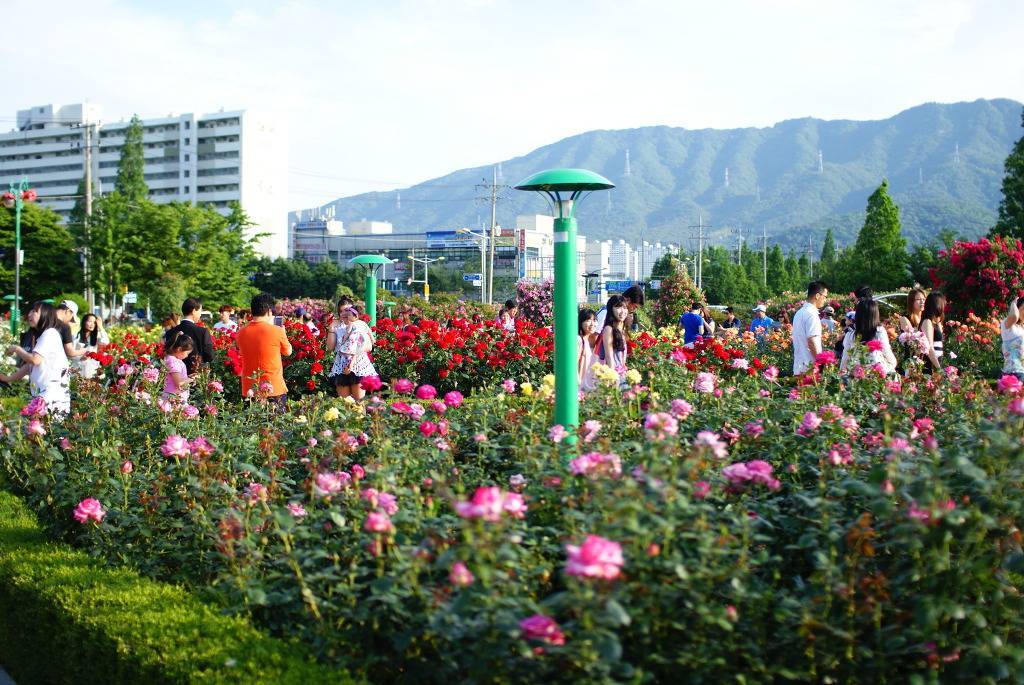 살기좋은도시로 자주 언급되는곳 | 인스티즈