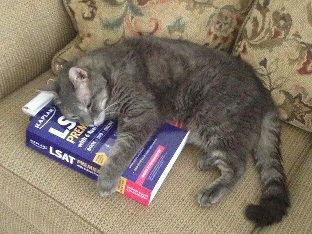 집사들의 시험성적이 안좋은 이유.jpg | 인스티즈