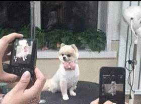 자기가 귀여운 줄 아는 애들 특징 | 인스티즈