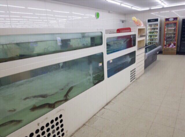 다이나믹 편의점 | 인스티즈