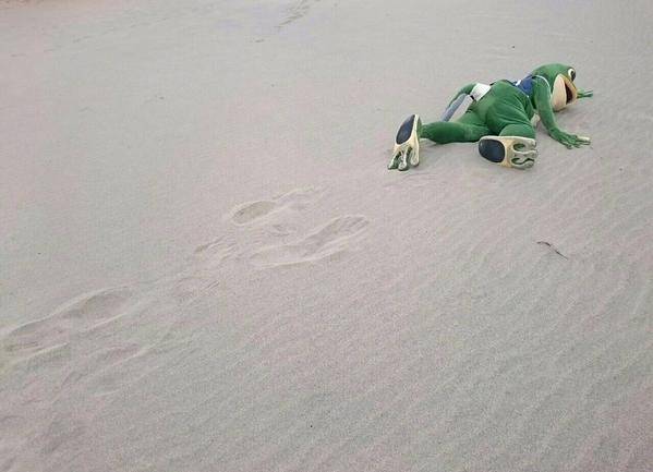 인터넷에서 제일 유명한 개구리 | 인스티즈