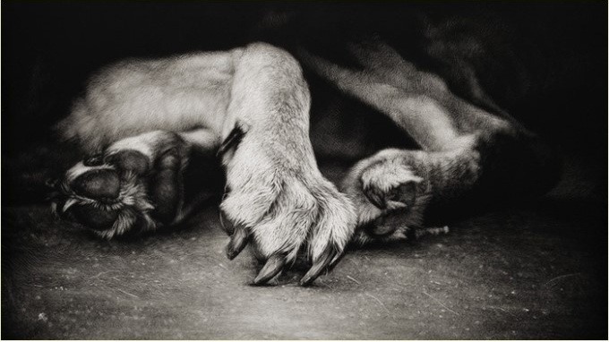 겁나게 노력해도 천재를 이기기 힘든 이유 | 인스티즈