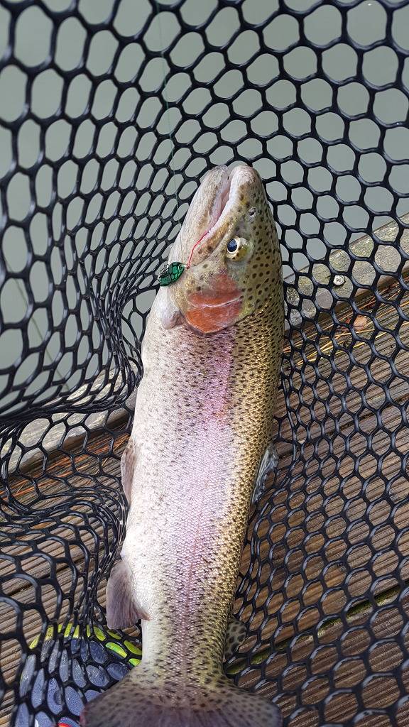 라면과 분식 (먹) | 인스티즈