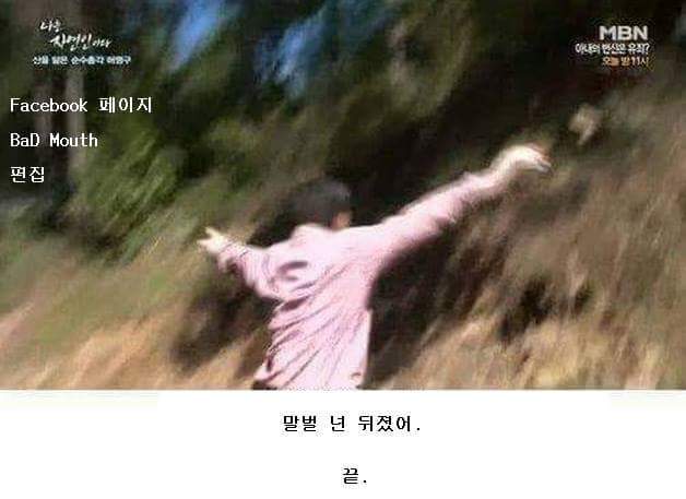 말벌잡는아저씨ㅋㅋㅋㅋㅋㅋㅋㅋ | 인스티즈