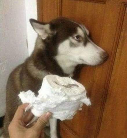 지들도 잘못한 건 알아갖고 ㅋㅋ | 인스티즈