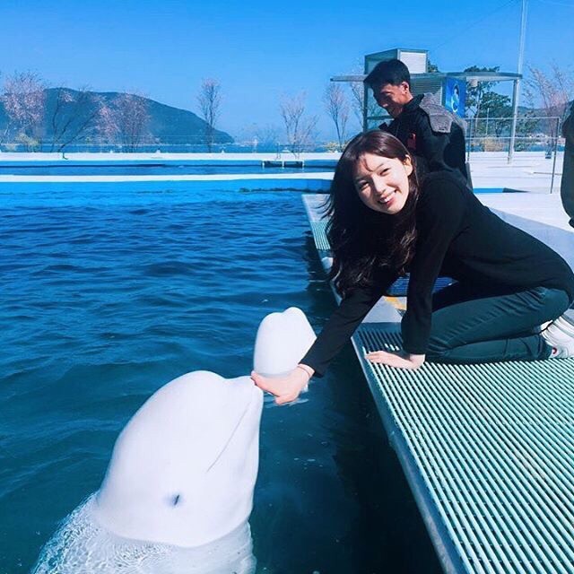 남녀차별 오지는 돌고래 | 인스티즈