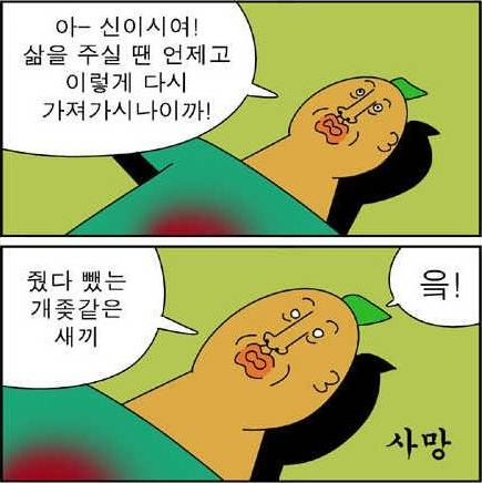 소름돋는 귀귀의 논리 | 인스티즈