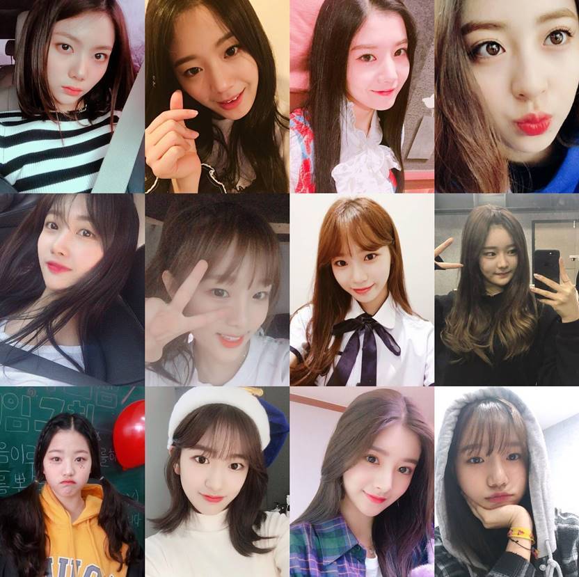 [프듀48] 위에화 스타쉽 플레디스 울림 스톤뮤직 | 인스티즈